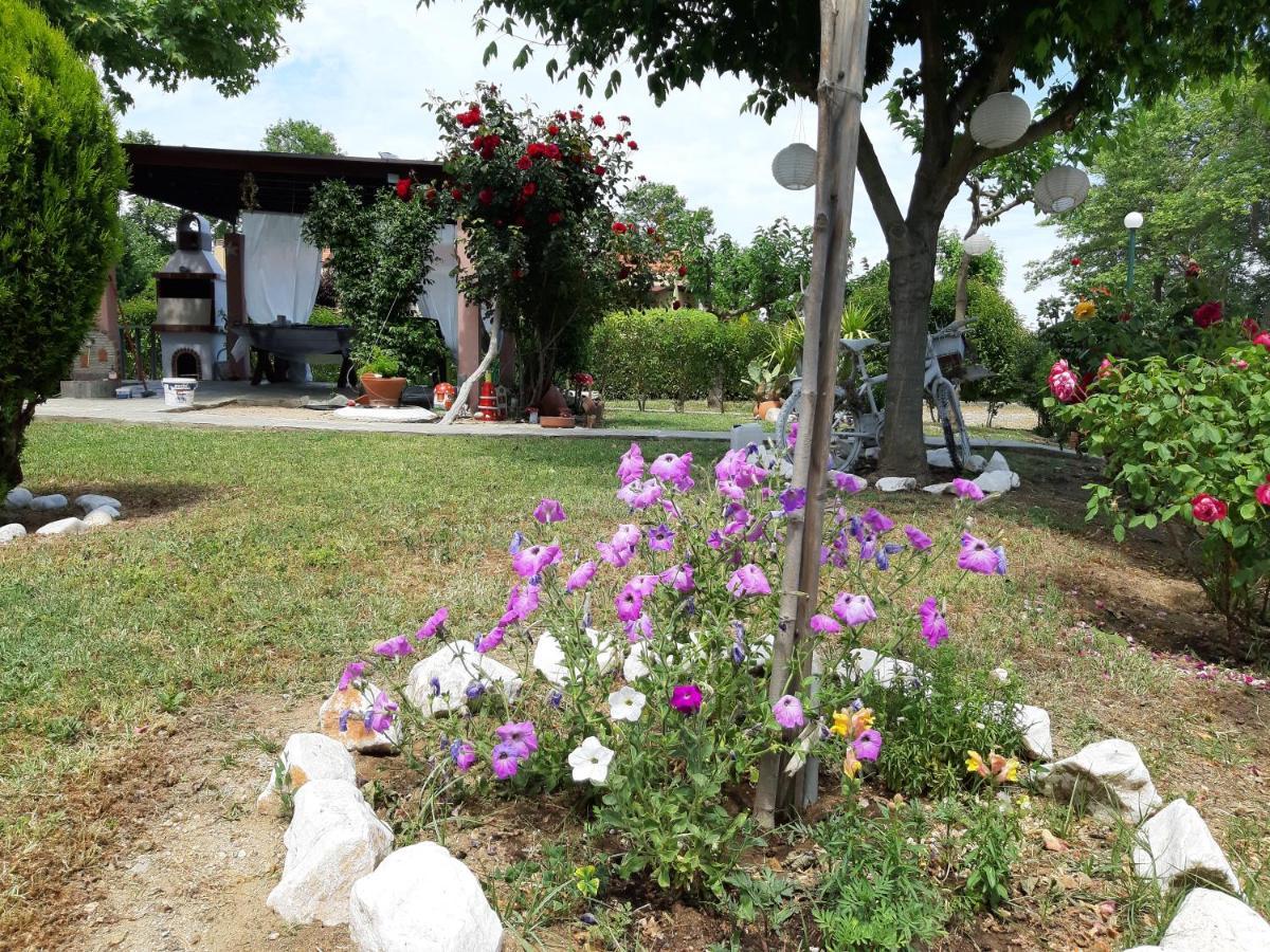Evgenia Maisonette Ierissos Extérieur photo