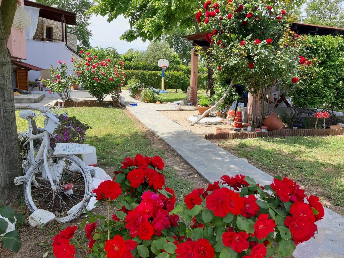 Evgenia Maisonette Ierissos Extérieur photo